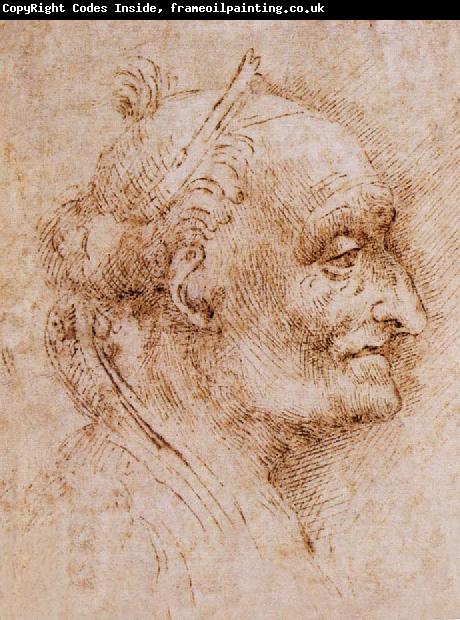 LEONARDO da Vinci Aurelio Luini attributed, profile of an old man